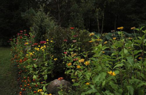 Chata u Żochów - Foto 15