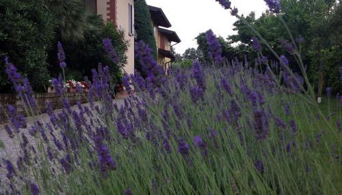 Casale el galet - Foto 1