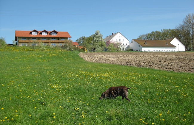 Comfortable Apartments in Rotthalmunster - Photo 71