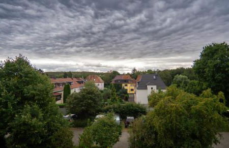 Auenblick -Natur genießen, Leipzig erleben - Foto 17