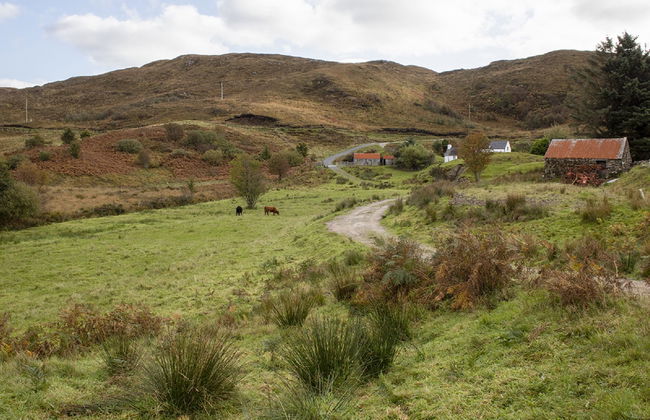 Joan's House - Photo 30