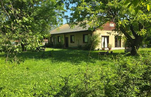 Malowane Domy - Foto 2