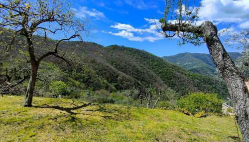 casa di arya CODICE CITRA LT-0043 - Foto 5