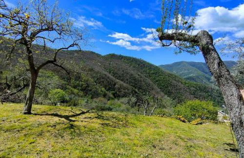 casa di arya CODICE CITRA LT-0043 - Foto 5