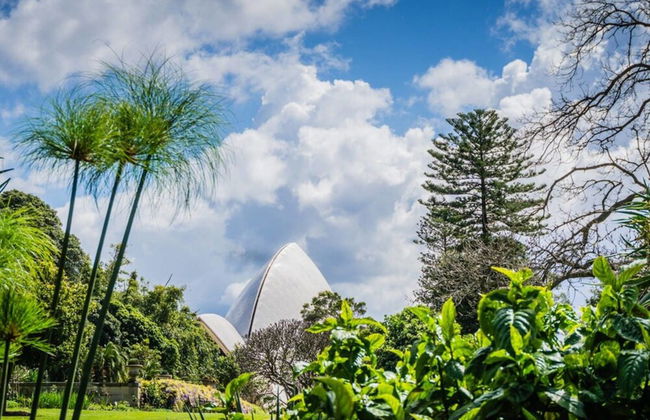 Walk To Darling Harbour 1 BED NEW APT Nsy188 - Photo 15