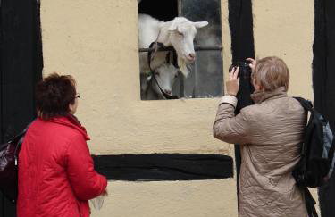 Zagroda Chłopska - Foto 25