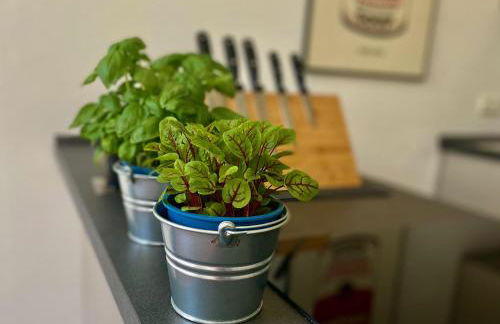 Chez Coco Apartment 2 Aachen - Foto 11