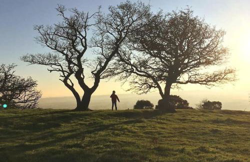 Perfect Cottage Hideaway in the Divine Pewsey Vale - Foto 55