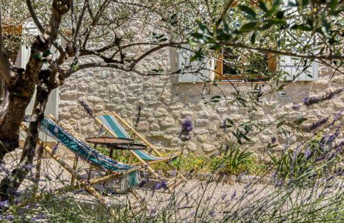 La Bastide des Oliviers Provence - Mirabel aux Baronnies - Foto 18