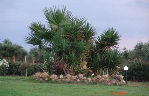 Terpsichore Apartments - Foto 29