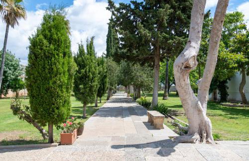 Moli dels Reis - Photo 36