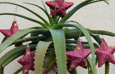 appartamento in villa a Pietragrande Villa Mi Vida - Photo 53