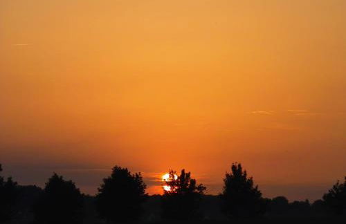 Spacious Apartment in Boddin With Garden - Photo 89