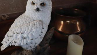 Le grand gîte du Sorcier ! Logement magique - Foto 3