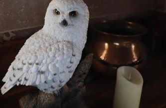 Le grand gîte du Sorcier ! Logement magique - Foto 3