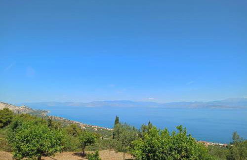 Jack's Home Maisonette - Foto 22