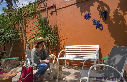 Apartamentos Brasil - Viu Bé - Foto 21