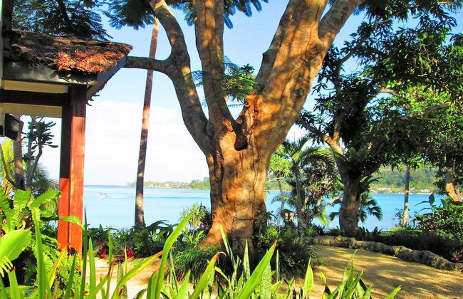 Troppo Mystique - Photo 30