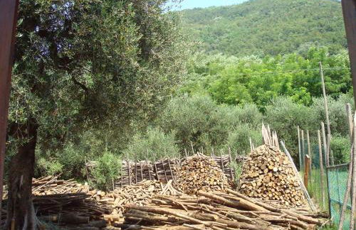 Il Castagneto - Foto 16