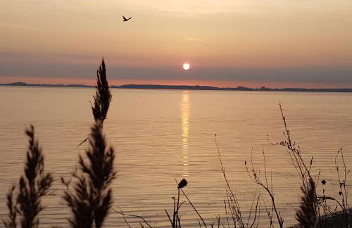 Strandappartements Steinberghaff "Kegnæs" mit Meerblick und Sauna - Foto 31