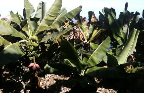 Alenes del Mar - Foto 30