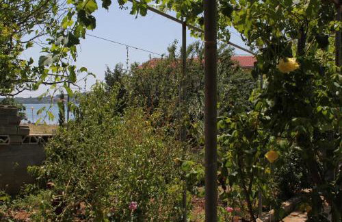 Apartments by the sea Verunic, Dugi otok - 8104 - Foto 27