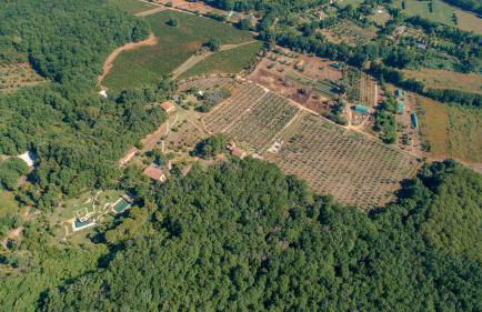 La Cerreta - Terme di Sassetta - Foto 88