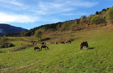 Ca l'ESTRELLA - Foto 48