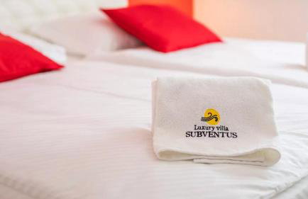 Luxury Villa Subventus - Photo 38