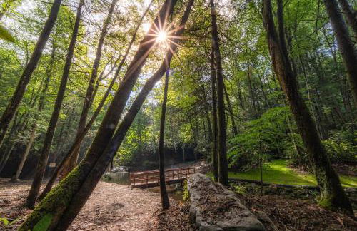 Beauty Mountain Hideaway - Secluded - New River Gorge National Park - Foto 46