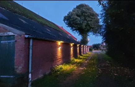 Alter Bangsteder Hof Fewo mit Hund - Foto 11