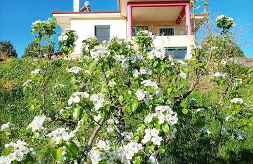 House with view - Foto 28