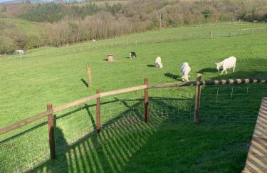 Brook lodge 2 - Photo 7