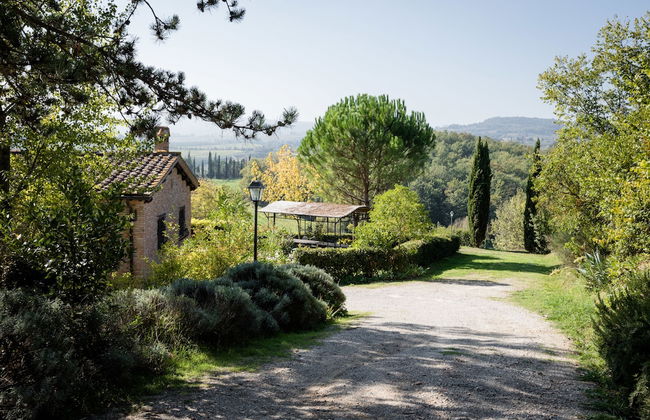 Fattoria Sant'Andrea - Photo 51