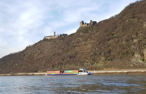Ferienwohnung Rheinzeit beim Toni - Foto 28