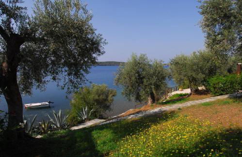 Saint Andrews Bay - Foto 16