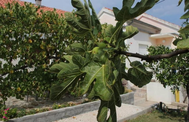 Sea View Apartment Orhideja, Sleeps 4 - Foto 30