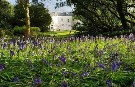 Elegant Pembrokeshire Country House - Sleeps 17 - Foto 54