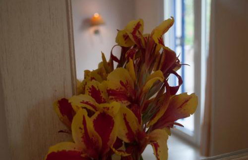 Anesis Village Studios and Apartments - Foto 55