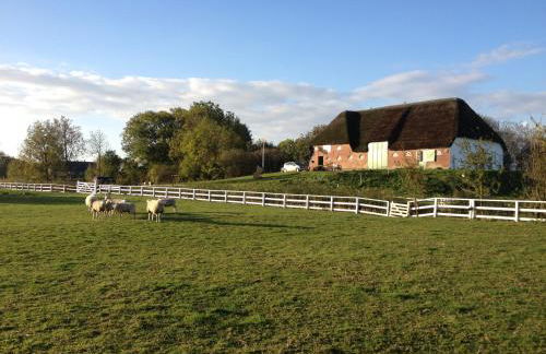 Der historische Silberhof von 1856 - Foto 18