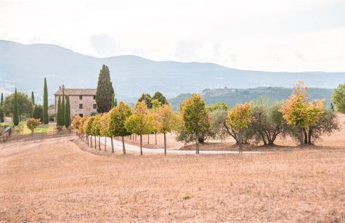 San Carlo a La Molinella - Photo 26
