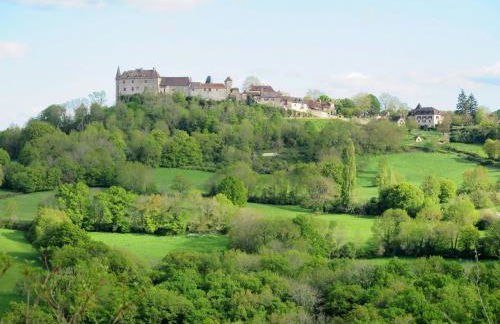 Holiday Home Sarrouil by Interhome - Photo 64