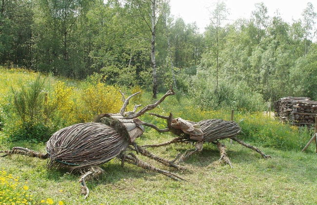 Holiday Home Le Fournil in Manhay With Garden - Photo 39