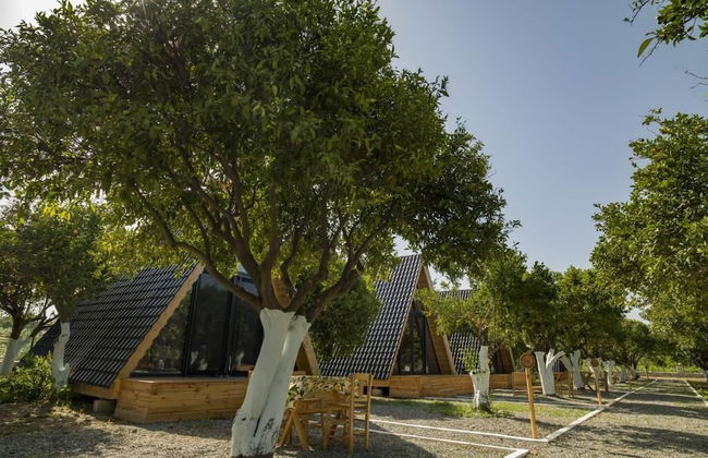 Limon Datca - Foto 11