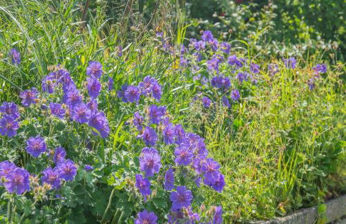 Cowslip Cottage- W43122 - Photo 26