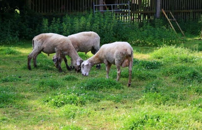 Nice Apartment in Himmelkron - Foto 16