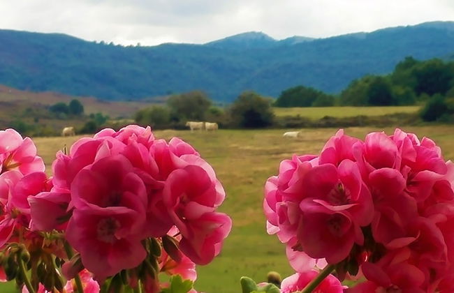 Casa Rural La Toba I y II - Photo 46