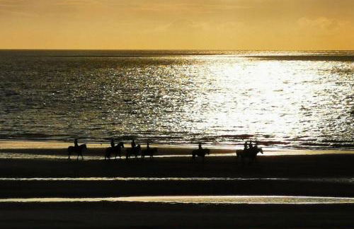 Gite de la Digue - Foto 22