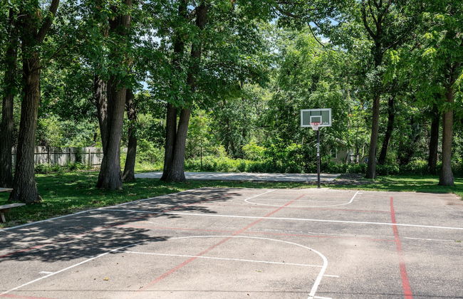 Vida del Lago - Foto 24