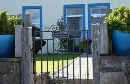 Little Egret - Foto 19